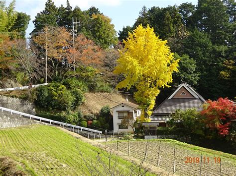 北部山脈